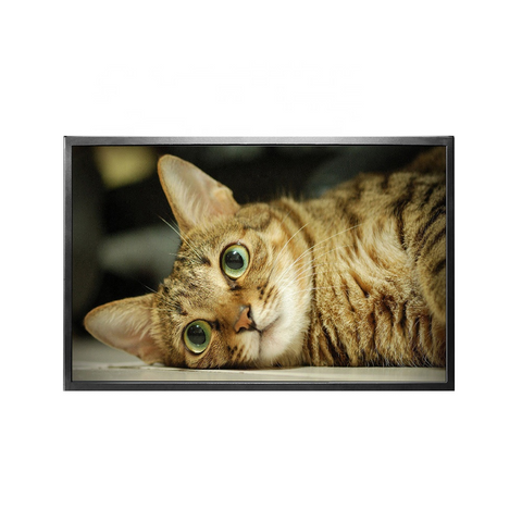 43-inch wide temperature outdoor ultra-bright LCD display