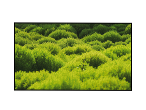 The Cheapest Price High Quality Original 32 inch Outdoor Highlight LCD Panel 2500nit Screen