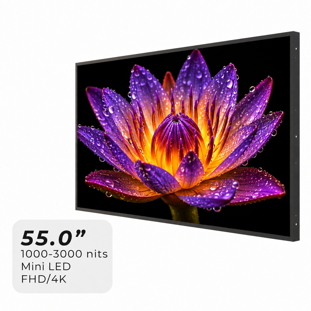 55-inch Mini LED LCD module series, Hyulene shared product asset